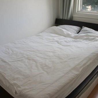 Den Haag, Groot Hertoginnelaan, 2-kamer appartement - foto 3