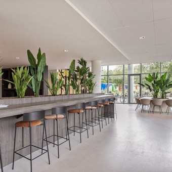 Eindhoven, Grenenhout, 3-kamer appartement - foto 3