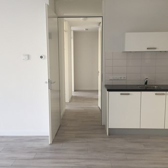 Waalre, Scheerderij, 3-kamer appartement - foto 3