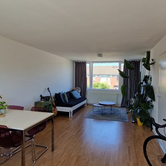 Breda, Oudergemstraat, 2-kamer appartement - foto 2