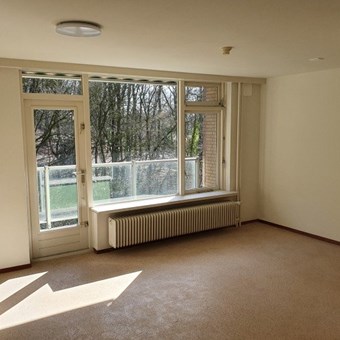 Arnhem, Bronbeeklaan, zelfstandige studio - foto 2