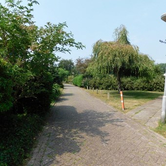 Noordwijkerhout, Duinschooten, bungalow - foto 3
