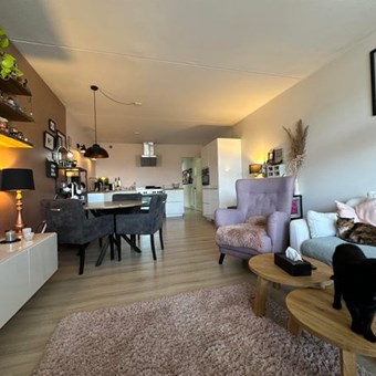 Breda, Nijverheidssingel, 2-kamer appartement - foto 3