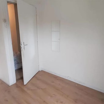 Maastricht, Concordiastraat, kamer - foto 3