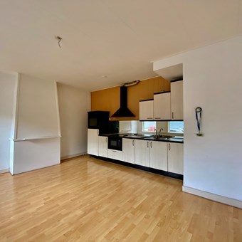Schiedam, Swammerdamsingel, 2-kamer appartement - foto 2
