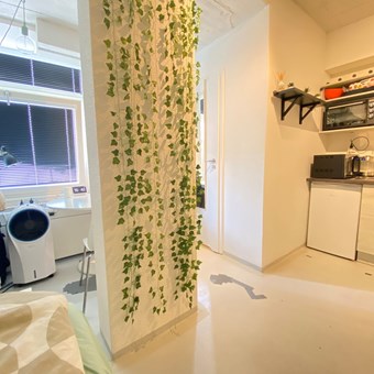 Rotterdam, Oostmaaslaan, zelfstandige studio - foto 3