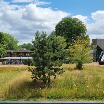 Dieren, Prins Bernhardlaan, eengezinswoning - foto 3