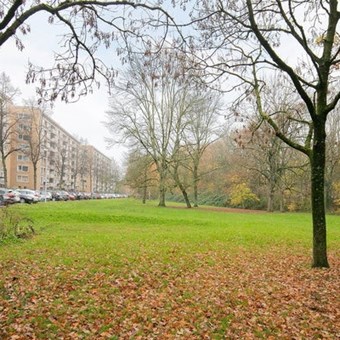Utrecht, Karel Doormanlaan, zelfstandige studio - foto 3