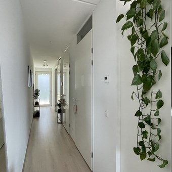 Leiden, Gaiastraat, 2-kamer appartement - foto 3