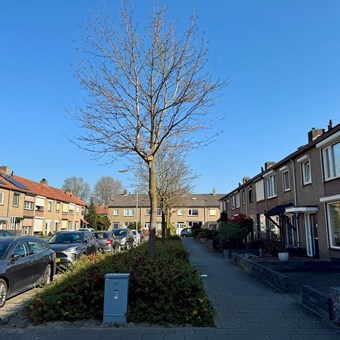 Wijchen, Kanariestraat, eengezinswoning - foto 3