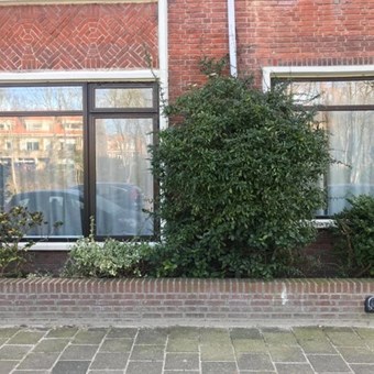 Den Haag, Aronskelkweg, benedenwoning - foto 3
