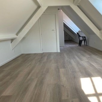 Leiden, Oude Rijn, zelfstandige studio - foto 3