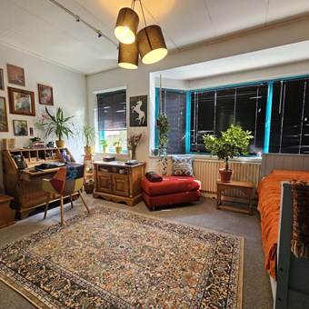 Breda, Tulpenstraat, kamer - foto 2