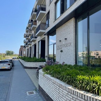 Utrecht, Wilde rucolavliet, 3-kamer appartement - foto 3