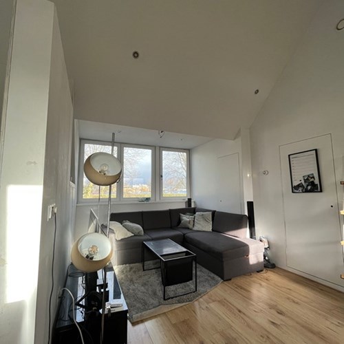 Tilburg, Hart van Brabantlaan, 2-kamer appartement - foto 1