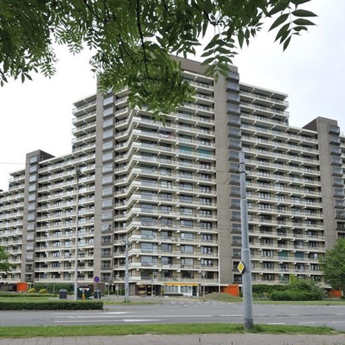Arnhem, Groningensingel, 2-kamer appartement - foto 1