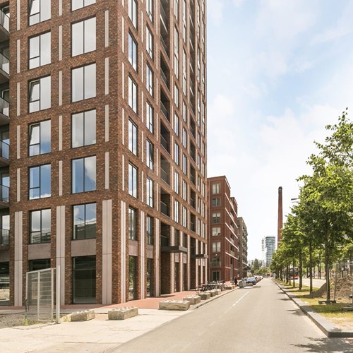 Eindhoven, Philitelaan, zelfstandige studio - foto 1