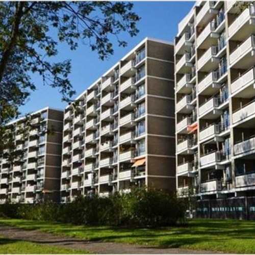 Leiden, Cruquiuslaan, 4-kamer appartement - foto 1