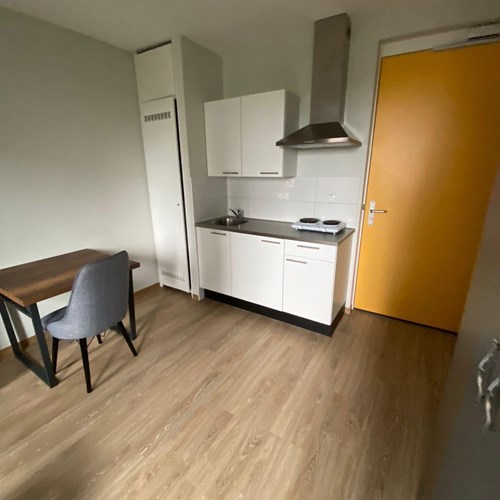 Tilburg, Professor Verbernelaan, zelfstandige studio - foto 1