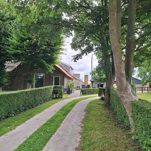 Delfgauw, Zuideindseweg, 2-kamer appartement - foto 1