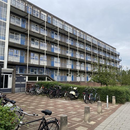 Groningen, Friesestraatweg, 3-kamer appartement - foto 1