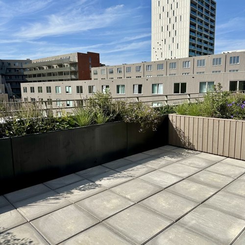 Rotterdam, Helen Suzmanhof, 3-kamer appartement - foto 1