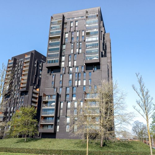 Breda, Dirk Hartogstraat, 2-kamer appartement - foto 1