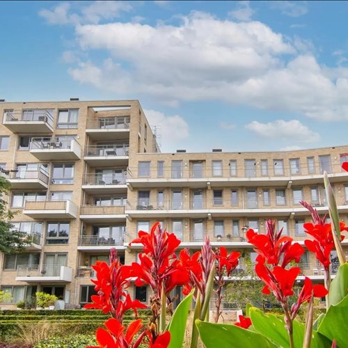 Haarlem, Prins Bernhardlaaan, 3-kamer appartement - foto 1