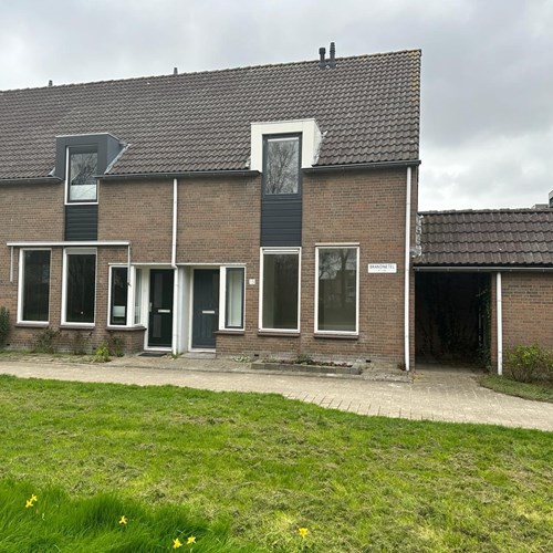 Zwaag, Brandnetel, hoekwoning - foto 1