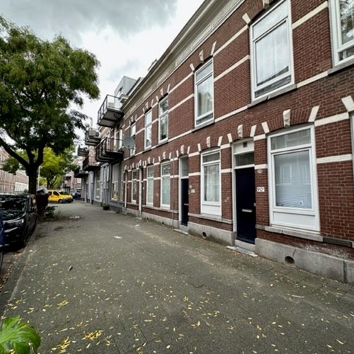 Rotterdam, Ruilstraat, zelfstandige studio - foto 1
