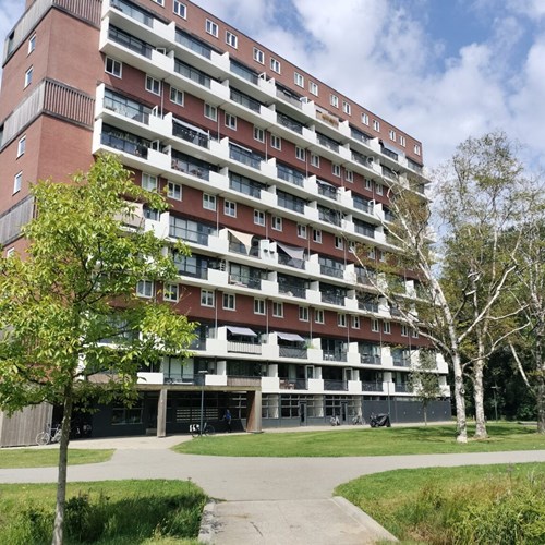 Hengelo (OV), Jan Wiegersstraat, 3-kamer appartement - foto 1