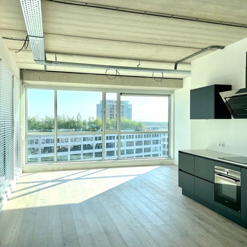 Eindhoven, Philitelaan, loft woning - foto 1