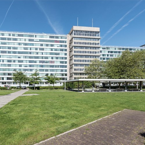 Amsterdam, Bos en Lommerplantsoen, zelfstandige studio - foto 1