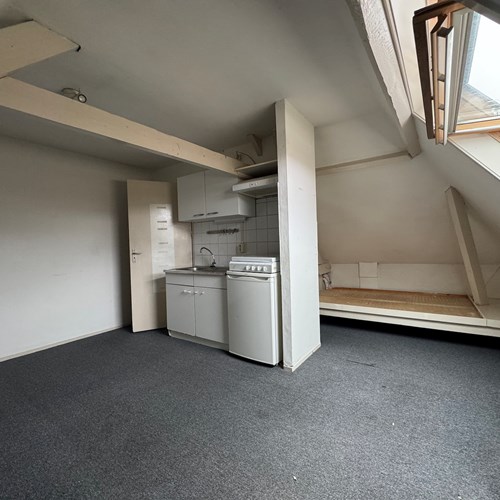 Breda, de Roy van Zuidewijnlaan, woonruimte - foto 1