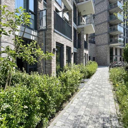 Leiden, Gaiastraat, 2-kamer appartement - foto 1
