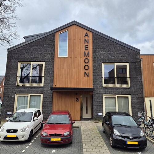 Koog aan de Zaan, Anemoonstraat, zelfstandige studio - foto 1