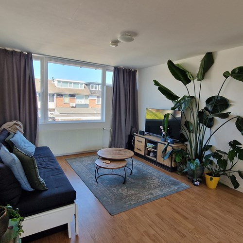 Breda, Oudergemstraat, 2-kamer appartement - foto 1