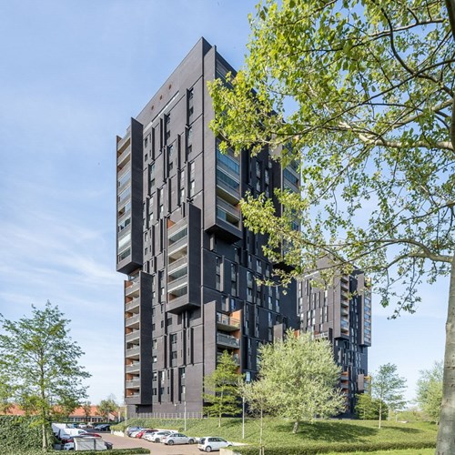 Breda, Dirk Hartogstraat, 2-kamer appartement - foto 1