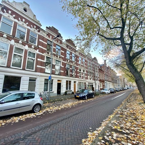 Rotterdam, Noordsingel, studentenkamer - foto 1